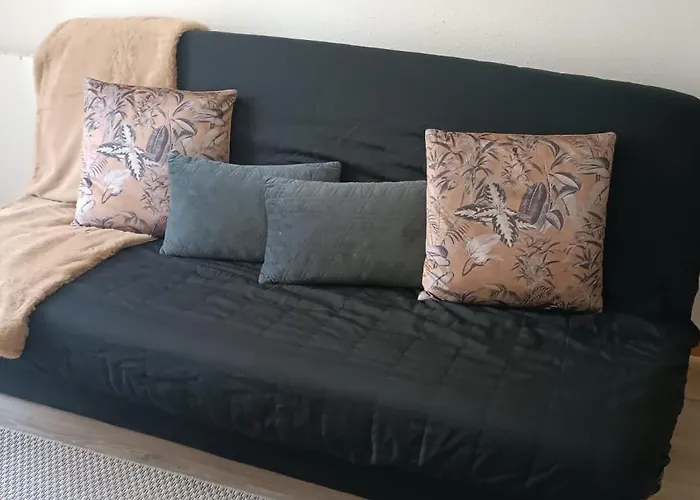 Le Cosy Montferrandais